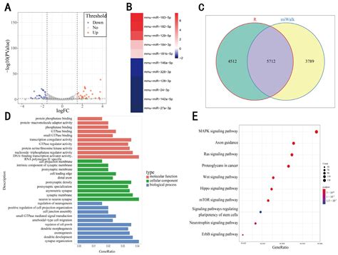 Involvement of MicroRNA-27a-3p in the Licorice-Induced Alteration of ...