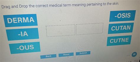 Drag and Drop the correct medical term | StudyX