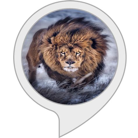 Amazon.in: Motivational Advice : Alexa Skills