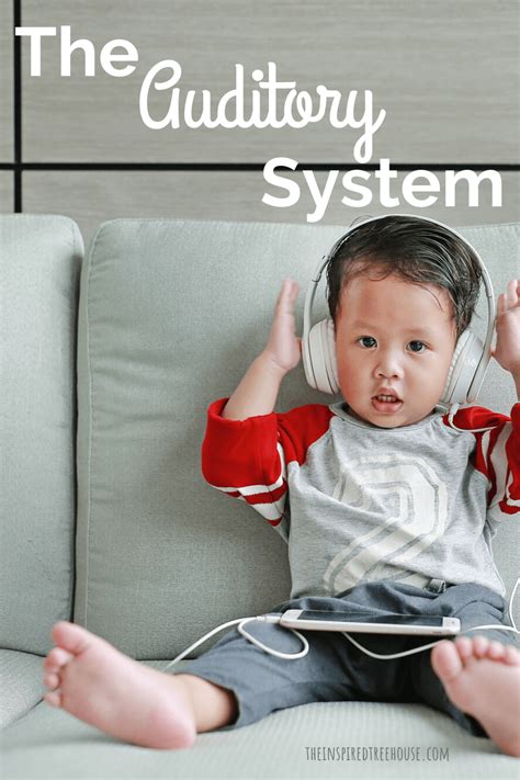 Auditory Processing System 的图像结果
