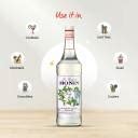 Monin Mojito mint syrup, 1L Mojito mint Price in India - Buy Monin ...
