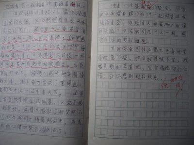 三年级春节作文300字10篇
