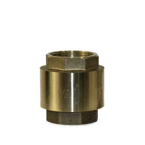 Image result for Clear Spring Check Valve