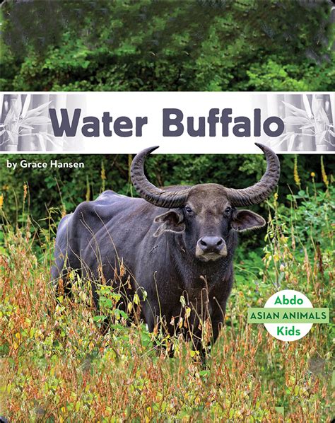 Asian Animals: Water Buffalo Book by Grace Hansen | Epic