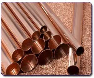 Welcome to Our Website