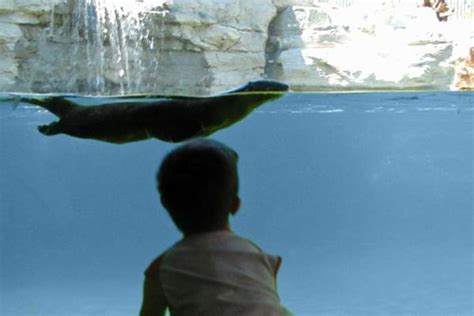 Riverview Park & Zoo, peterborough, Canada - Top Attractions, Things to ...