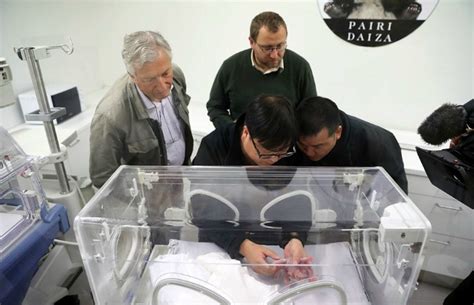 Mother Panda Gives Birth To The Tiniest Baby, Plops On The Floor For ...