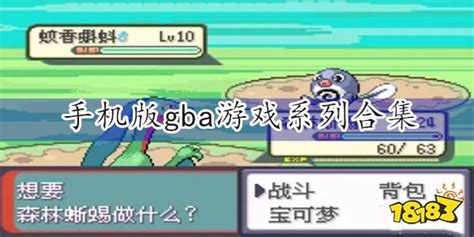 gba游戏大全(GBA有哪些好玩的游戏)GBA中文游戏 - 氪金游戏网|爱美儿信息科技有限公司