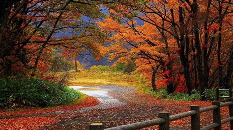 Image result for Fall Nature Desktop Backgrounds