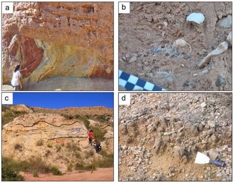 Inland Record of the Last Interglacial Maximum in the Western ...