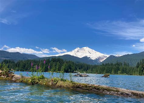 Swift Creek Campground Camping | The Dyrt