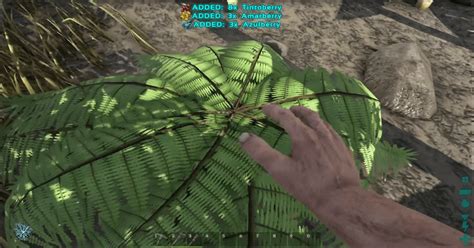 Ark Guide 的图像结果