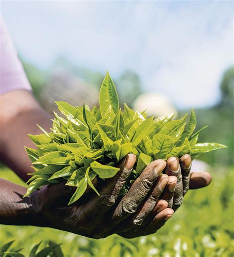 STIHL Geschäftsbericht 2018