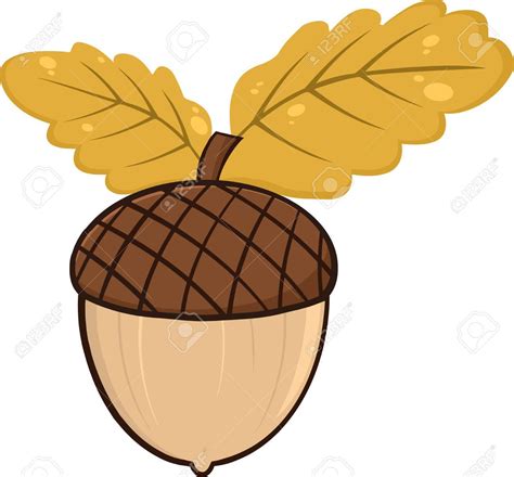 The best free Acorn clipart images. Download from 76 free cliparts of ...