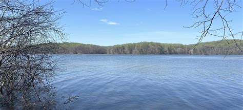 Triadelphia Reservoir Trail, Maryland - 390 Reviews, Map | AllTrails