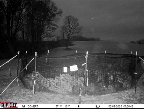 Hog Trap Shooting 的图像结果