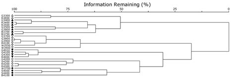Community Cluster Analysis Drawing 的图像结果