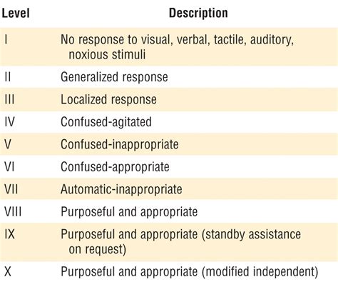 Rancho Los Amigos Scale - AleahzebDavid