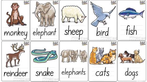 英语早教卡片厂家直销动物颜色英文单词闪卡儿童益智记忆认知玩具-阿里巴巴