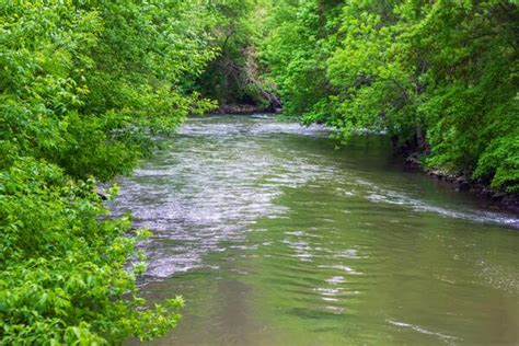 Image result for River Table Project