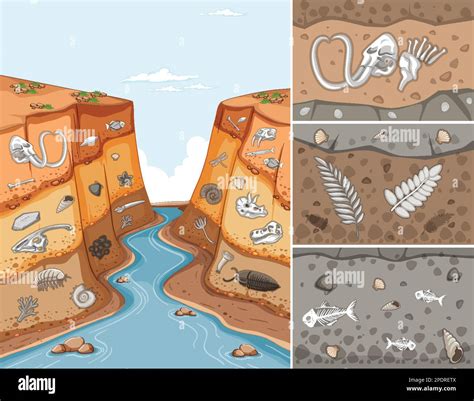 Fossils Geologic Time Scale at Kathleen Sutphin blog