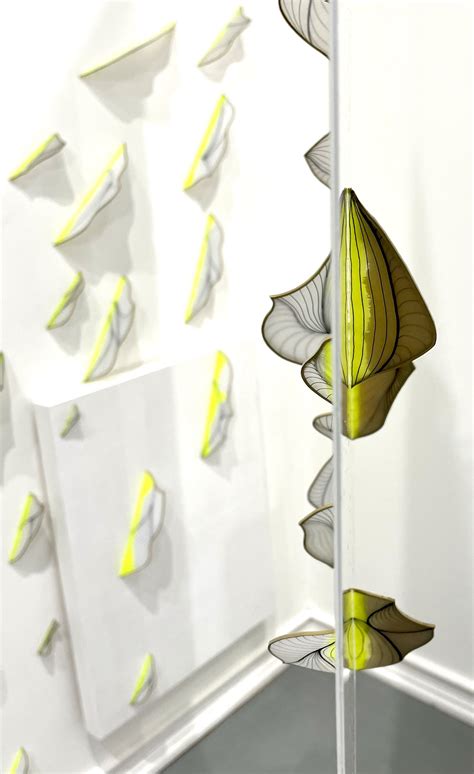 Reflection Transformation 的图像结果