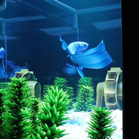 Image result for Blender Fish Tank Tutorial