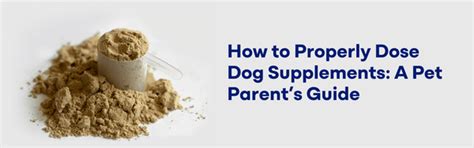 Dog Supplement Dosage Guide | Keep Your Pet Healthy | K9 Vitality