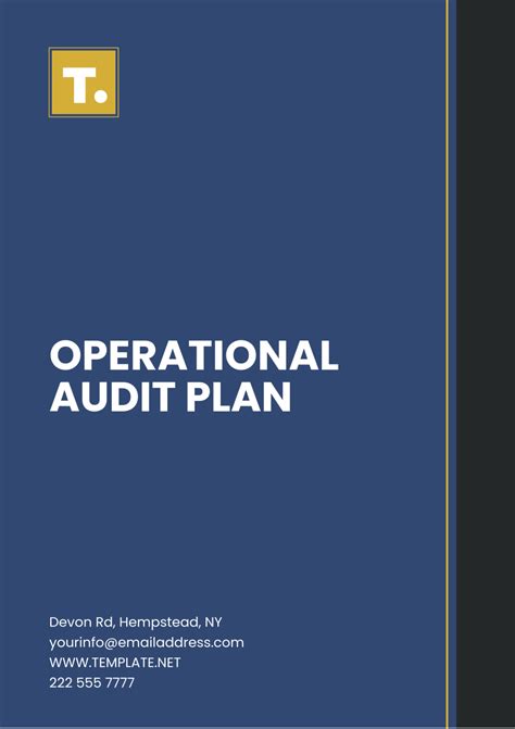 Audit Plan Example 的图像结果