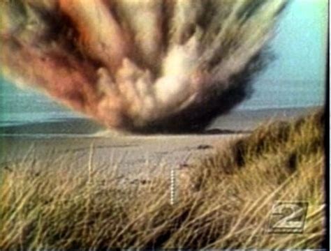 Image result for Owl Exploding