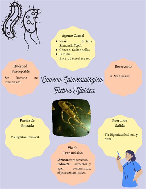Cadena Epidemiológica Fiebre Tifoidea - Cadena Epidemiológica Fiebre ...