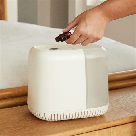 Image result for Mini Canopy Humidifier