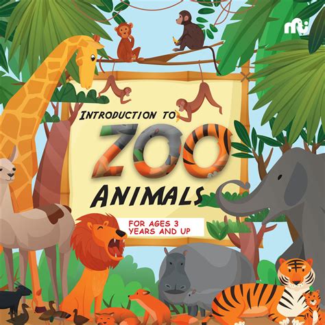 Introduction To Zoo