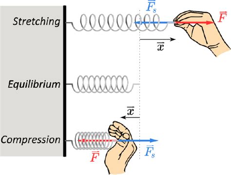 Image result for Forces On a Spring
