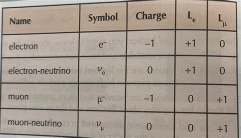 Image result for Types of Leptons