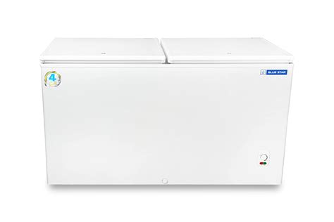 Blue Star CHFDD400MGEW Double Door Deep Freezer (400 L, White) : Amazon ...