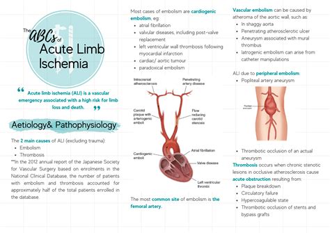 Nice Acute Limb Ischaemia: Acute Limb Ischaemia Symptoms – JTCP