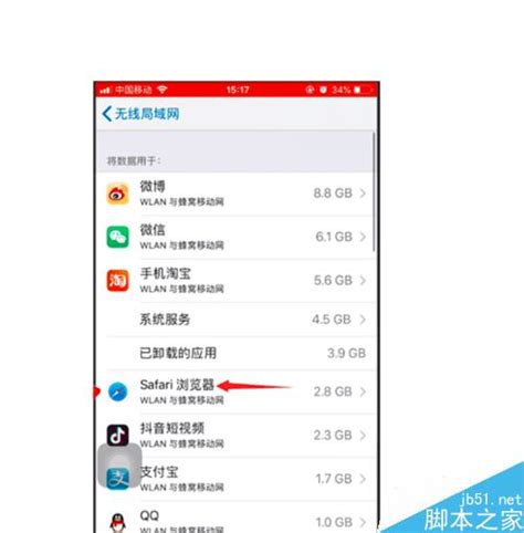 iphone11浏览器safari提示“尚未接入互联网”怎么办？ - 茶源网