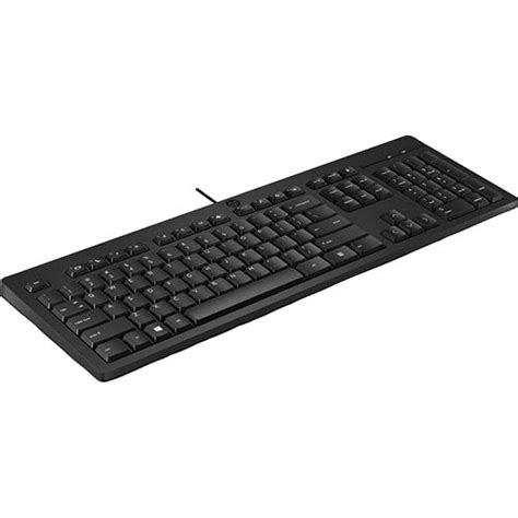Amazon.in: Buy HP 125 Keyboard Online at Low Prices in India | HP ...