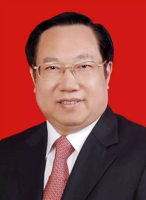 王晓东被任命为湖北省人民政府代理省长(图/简历)_手机新浪网