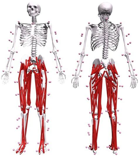 Image result for OpenSim Simulator