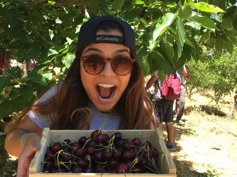 DISCOVERY BEYOND BORDERS (2025) All You Need to Know BEFORE You Go ...