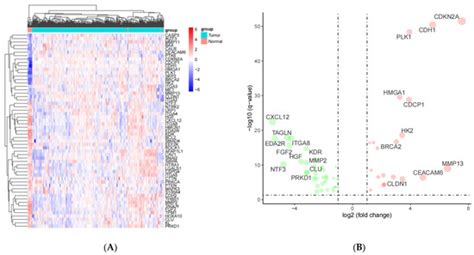 Identification and Validation of the Anoikis-Related Gene Signature as ...
