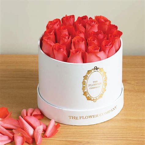 Roses – Petite Ronde – The Flower Company