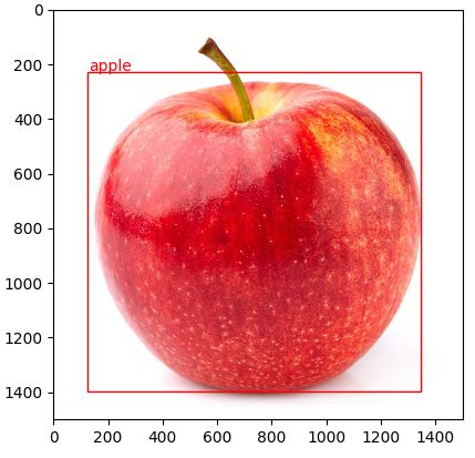 Detect Custom Object From 的图像结果