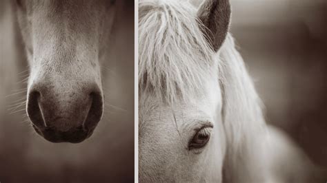 Image result for Lasso Tools Tutorial