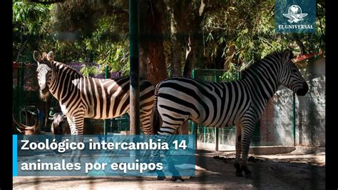 Image result for Match Split Images Algorithm