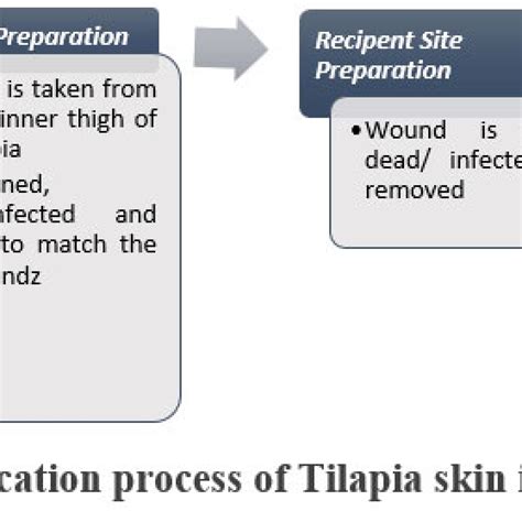 Revolutionizing Burn Care: The Therapeutic Potential of Nile Tilapia ...