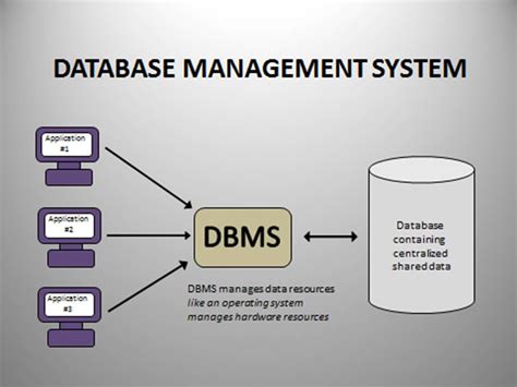 Image result for Contoh Data DBMS