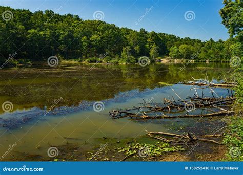 乔治 华盛顿 和 杰斐逊 国家 公园 的图像结果